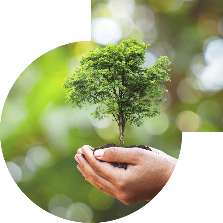 关怀人类、文化、环境与社会